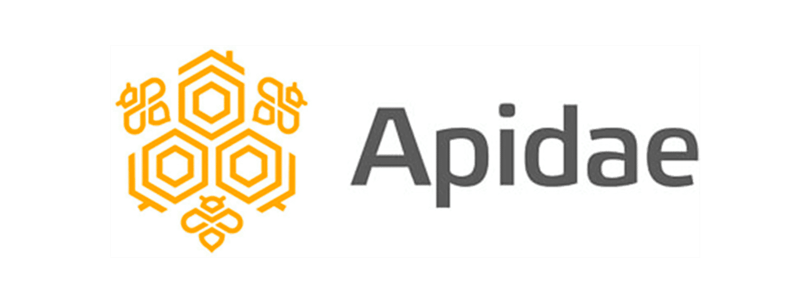 APIDAE logo